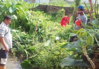 Orang Suruhan Developer Nakal Ingin Cabut Patok Tanah Warga Orang Suruhan Developer Nakal Ingin Cabut Patok Tanah Warga