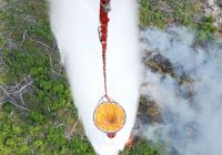 Padamkan 5,4 Hektare Lahan yang Terbakar, 75 Personel Dikerahkan