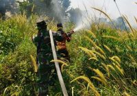 Seluas 5 Hektare Lahan Gambut dengan Kedalaman 50 Cm Terbakar