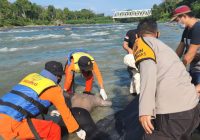 Tim Sar Evakuasi Dua Warga Tewas di Sungai Ogan