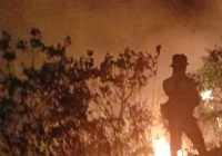 Seluas 7 Hektare Hutan dan Lahan di Aceh Terbakar Seluas 7 Hektare Hutan dan Lahan di Aceh Terbakar