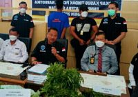 Temukan Satu Hektare Ladang Ganja Siap Panen Temukan Satu Hektare Ladang Ganja Siap Panen