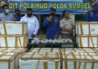 Ratusan Ribu Benih Lobster Senilai Rp27,810 Miliar Gagal Diselundupkan