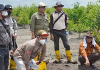 Merintis Rehabilitasi Lahan Kritis, Tingkatkan Kerapatan dan Tutupan Mangrove di Pesisir Sumsel