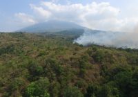 Seluas 95 Hektare Hutan dan Lahan di Gunung Ciremai Terbakar