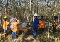 Tiga Hektare Hutan Jati dan Karet Terbakar