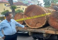 Polisi Sita Ratusan Kayu Ilegal