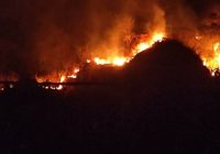 Lereng Gunung Jayanti di Sukabumi Terbakar