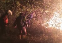 Lereng Gunung Merbabu Terbakar, Api Berhasil Dijinakkan