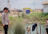 Kebakaran 4.083 Hektare Lahan di Sumsel  Sebabkan Kerusakan Ekosistem dan Lingkungan