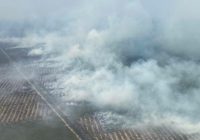 Kurangi Dampak Kabut Asap akibat Karhutla Sumsel, Operasi TMC Dilanjutkan karena Musim Kering Cukup Panjang