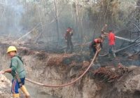 Perusahaan Sawit Tanggapi Kiriman Kabut Asap Karhutla ke Sekayu