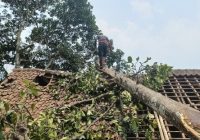 Puting Beliung Sapu Empat Desa di Sukabumi, Ratusan Warga Terdampak