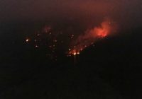 Lahan Gunung Merbabu Dilalap si Jago Merah