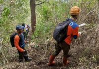 Kebakaran akibat Pohon Disambar Petir, Api di Lereng Gunung Panderman Sulit Dipadamkan