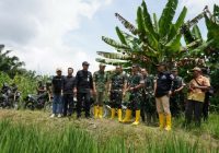 Sulap Rawa Jadi Sawah, Kodam II/Sriwijaya Tunaikan Atensi Kasad