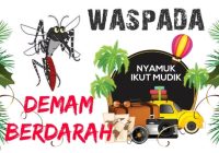 Ancaman Para Pemudik, Lima Warga Palembang Sudah Meninggal akibat Demam Berdarah