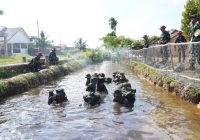 Tumbuhkan Kebanggaan Korps, Gelar Tradisi Penerimaan Warga Baru