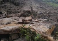 Tujuh Warga Mimika Tewas, Jalan Akses Freeport Tertimbun Longsor