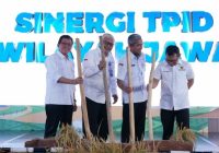 Hilangnya Sawah akibat Alih Fungsi Lahan Jadi PR Bersama, Jaga Ketahanan Pangan Nasional Hilangnya Sawah akibat Alih Fungsi Lahan Jadi PR Bersama, Jaga Ketahanan Pangan Nasional