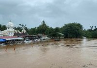 Banjir Rendam Sumatera Barat dan Riau, Puluhan Hektare Sawah Gagal Panen