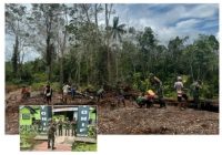 Satgas Yonif 144/JY Bantu Warga Tanam Padi di Perbatasan, Satgas Yonif 141/AYJP  Beri Pelayanan Kesehatan