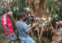 Satgas Yonif 144/JY Dapat Izin Tambah Pos di Perbatasan, Satgas 141/AYJP Berikan Pelayanan Kesehatan Gratis