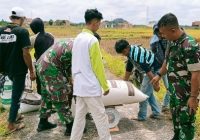 Dukung Ketahanan Pangan, Koramil 410-06/KDT Gelar Panen Raya Padi Ciherang
