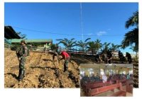 Satgas Yonif 144/JY Bersama Pemda Resmikan Lonceng Gereja, Satgas Yonif 141/AYJP Tanam Jagung di Papua