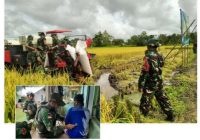 Satgas 141/AYJP Panen Raya Padi, Satgas Yonif 144/JY Beri Pelayanan Kesehatan