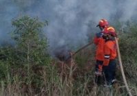 Karhutla Sumsel Menyala, Hanguskan 2,25 Hektare Lahan di Ogan Ilir
