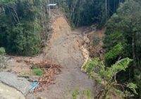 Banjir Bandang Rendam Pegunungan Arfak, 1 Warga Tewas dan 19 Orang Hilang