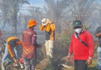 Karhutla Bengkulu Meluas 15-20 Hektare, Titik Api Berasal dari Kebun Sawit dan Lahan Gambut