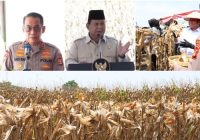 Polda Sumsel Panen Raya Jagung 8 Ton per Hektare, Presiden Apresiasi Polri Aktif Dukung Swasembada Pangan Nasional
