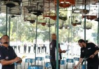 Peringati HUT Ke-1342 Kota Palembang, Pangdam II/Sriwijaya Gelar Lomba Burung Berkicau