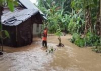 Puluhan Hektare Sawah Terendam Banjir di Tanggamus Lampung