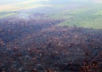 Operasi Modifikasi Cuaca Berjalan Optimal, Jambi Diguyur Hujan