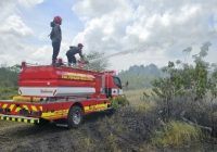Karhutla Mulai Ganas, Cuaca Kalimantan Makin Panas