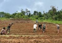 Dandim 0416/Bute Tegaskan Komitmen TNI Jaga Ketahanan Pangan