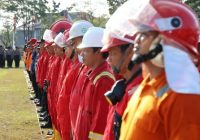 Satgas Gabungan Diperkuat, Karhutla Kalteng Masih Terkendali