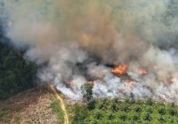 Karhutla di Sungai Keruh Muba Berhasil Dipadamkan