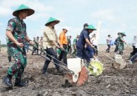 Dukung Ketahanan Pangan Nasional, Pangdam II/Sriwijaya Canangkan Penanaman Padi Gogo di Banyuasin