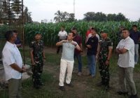 Pangdam II/Sriwijaya Tinjau Kesiapan Pembangunan Yonif TP 895/Kujur Cakti