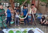 Perkuat Semangat Bela Negara, Kodam II/Sriwijaya Gelar Persami KKRI di Tiga Wilayah