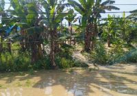 Banjir Kepung 34 Desa, Tanggul Jebol dan Jalur Kereta Api Jakarta-Surabaya Terendam