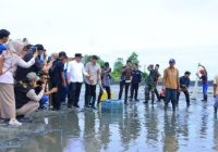 Panen Udang di Sungai Menang OKI, Tingkatkan Produksi dan Daya Saing