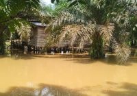 Banjir Rendam Bayung Lencir, Warga Terisolasi dan Butuh Bantuan
