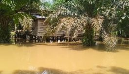 Banjir Rendam Bayung Lencir, Warga Terisolasi dan Butuh Bantuan