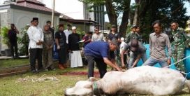 Pangdam II/Sriwijaya Serahkan Hewan Kurban secara Simbolis