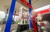 Harga Pertalite dan Solar Subsidi Tidak Naik, Pertamina Patra Niaga Menjaga Keberlanjutan Energi